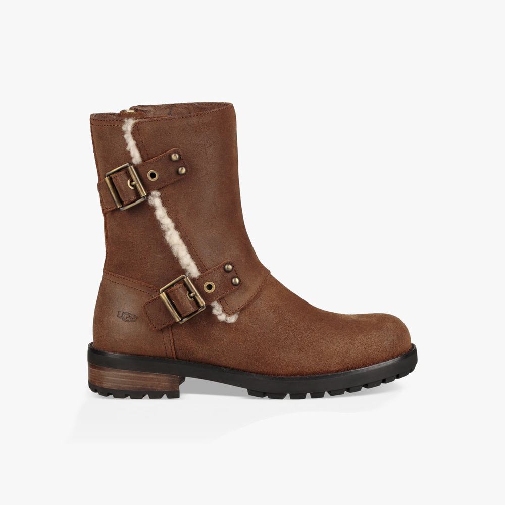 Bottes Classic UGG Niels II Femme Marron Soldes 437CQIOX